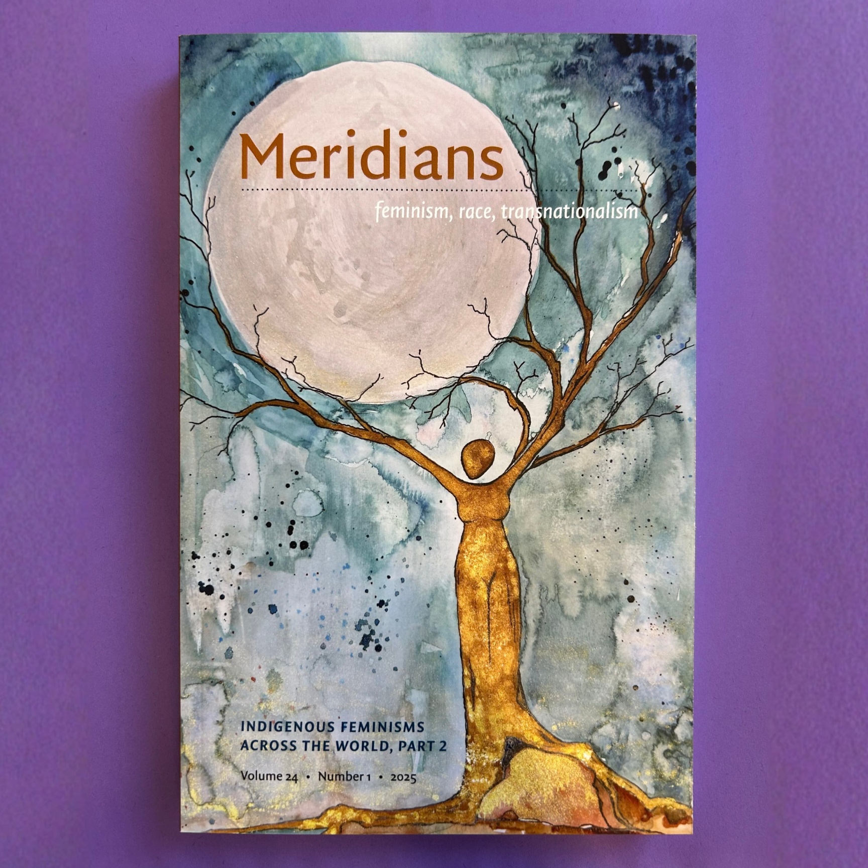 Indigenous Feminisms across the World Part 2 Volume 24, Issue 1